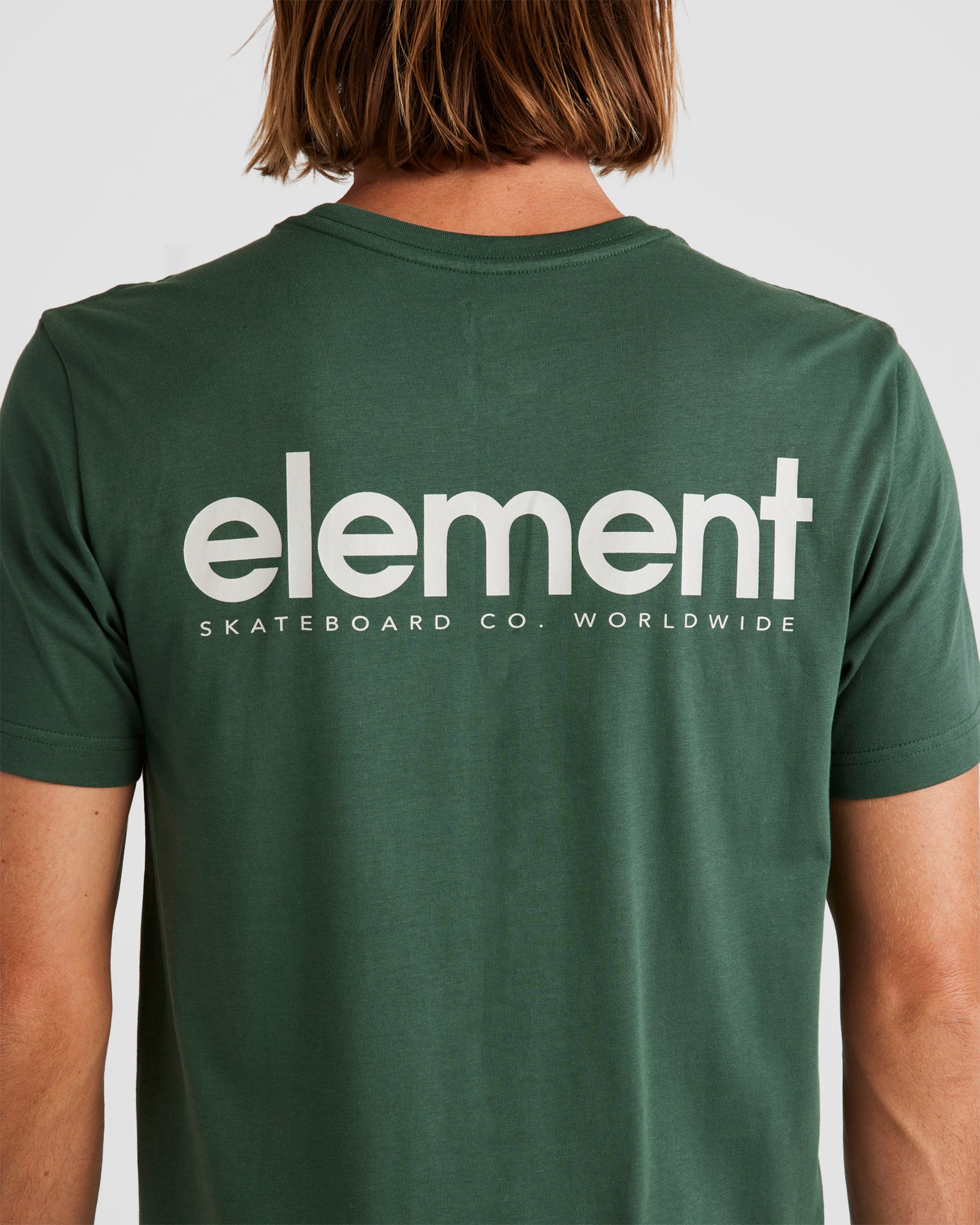 ulyzt00196_element_tkr_dtl1